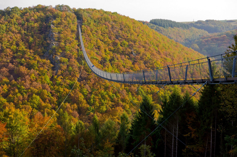 IMGP9122_Geierlay_Hängebrücke_FT.jpg